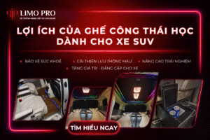 Lợi ích của ghế công thái học dành cho xe SUV 4 LỢI ÍCH CỦA GHẾ CÔNG THÁI HỌC DÀNH CHO XE SUV