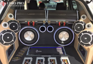 Độ Loa Sub Cho Ô Tô - Bí Quyết Tối Ưu Âm Thanh Với Âm Trời Vang Ngân 12 Độ Loa Sub Cho Ô Tô - Bí Quyết Tối Ưu Âm Thanh Với Âm Trời Vang Ngân