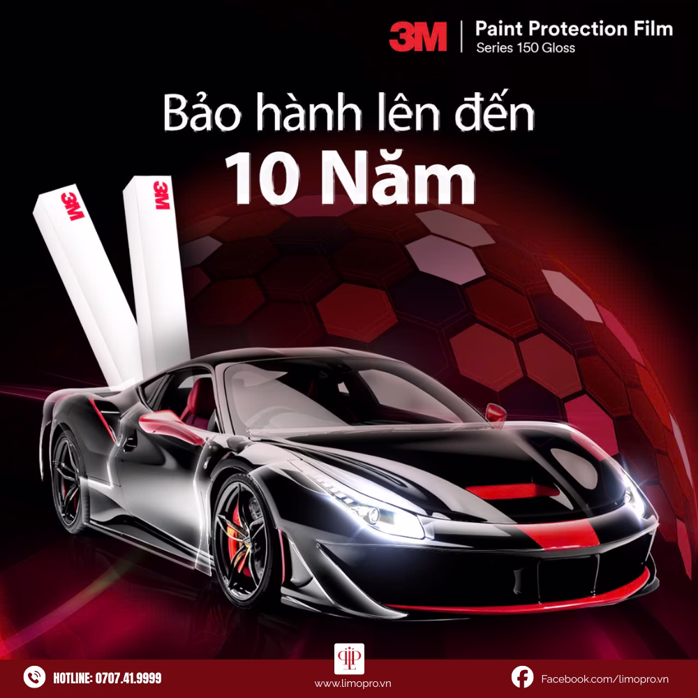 PPF 3M 150 Gloss Series 2 13