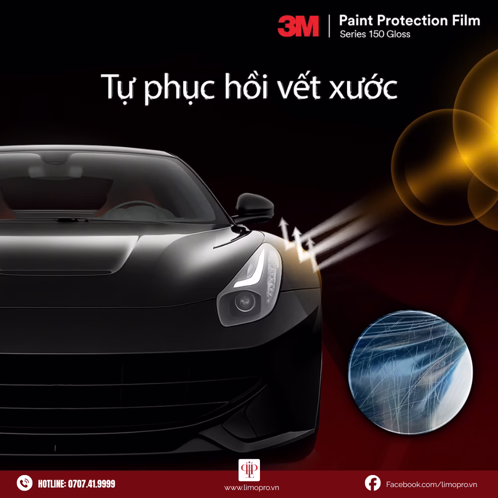 PPF 3M 150 Gloss Series 25 15