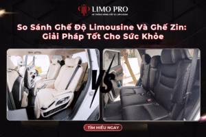 So Sánh Ghế Độ Limousine Và Ghế Zin: Giải Pháp Tốt Cho Sức Khỏe 14 So Sánh Ghế Độ Limousine Và Ghế Zin: Giải Pháp Tốt Cho Sức Khỏe