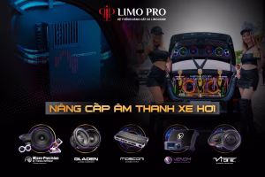 Nâng cấp âm thanh xe limousine: Tại sao đây là đầu tư đáng giá?